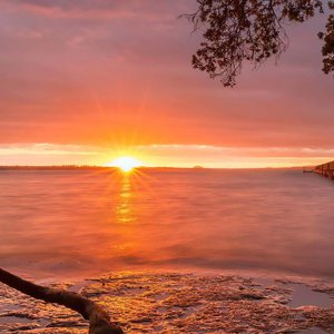 好雨配闲时该当肆意寻慰为己
